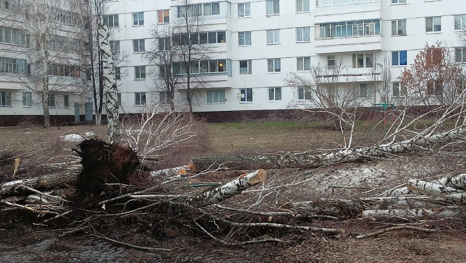 Комплексный ремонт домов и дворов: в Заинске стартовал строительный сезон