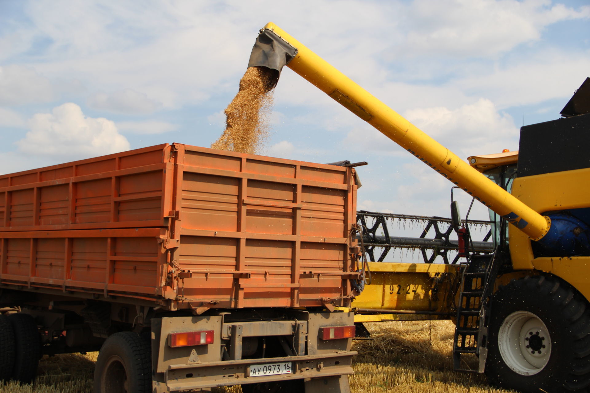 В Татарстане самая высокая урожайность зерновых у заинских аграриев