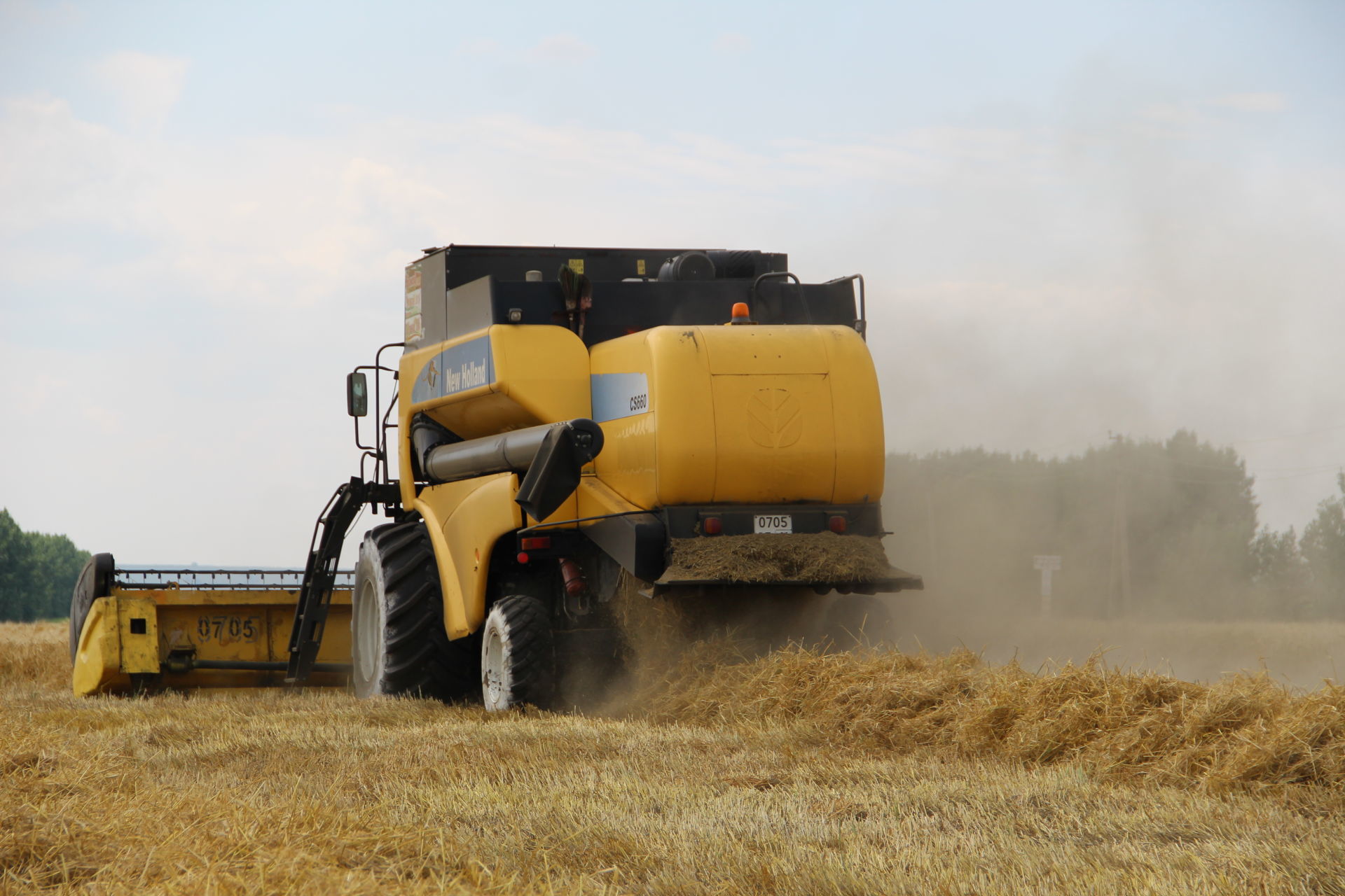 В Татарстане самая высокая урожайность зерновых у заинских аграриев