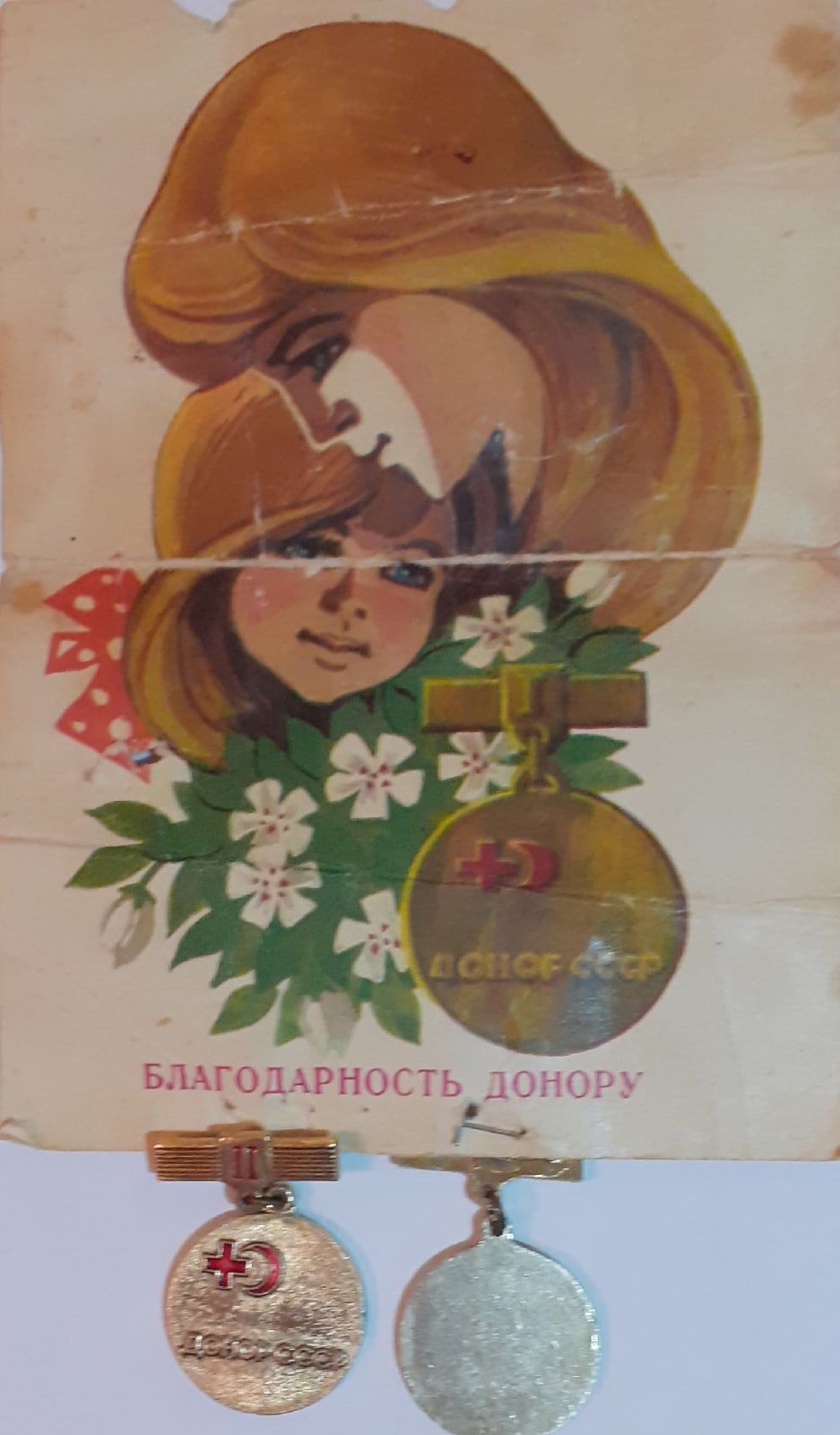 Бигеш авылыннан Раилә Хөснетдинова “Мактаулы донор” исемен йөртә