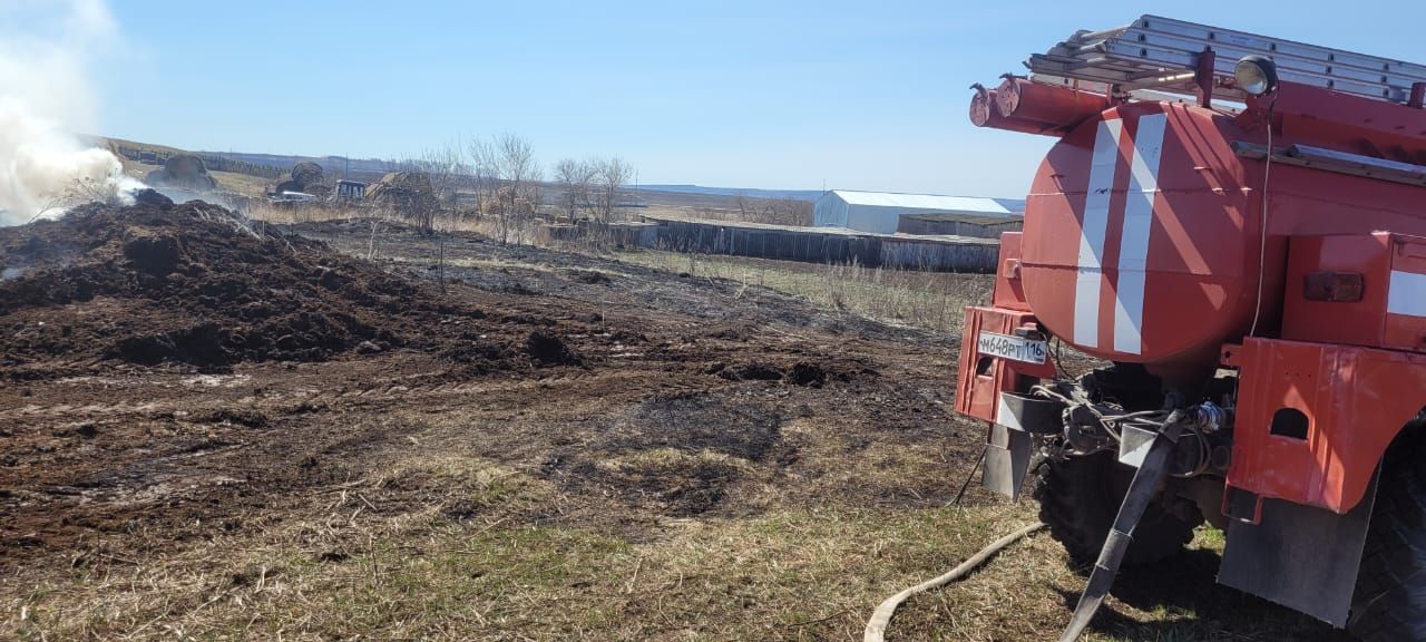 В Заинском районе РТ выявлено пять случаев горения травы