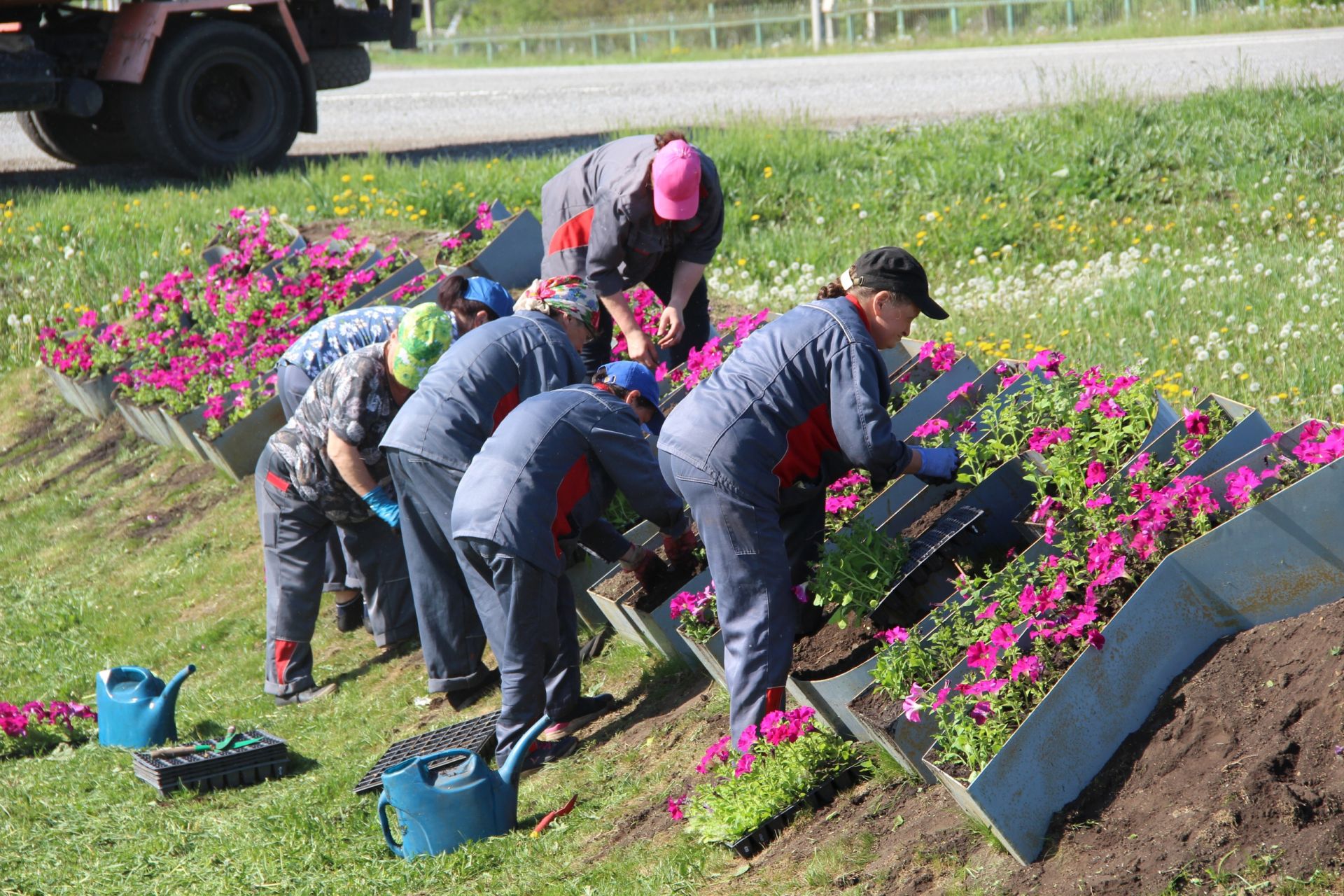 В Заинском районе Татарстана посадят 70 тысяч цветов