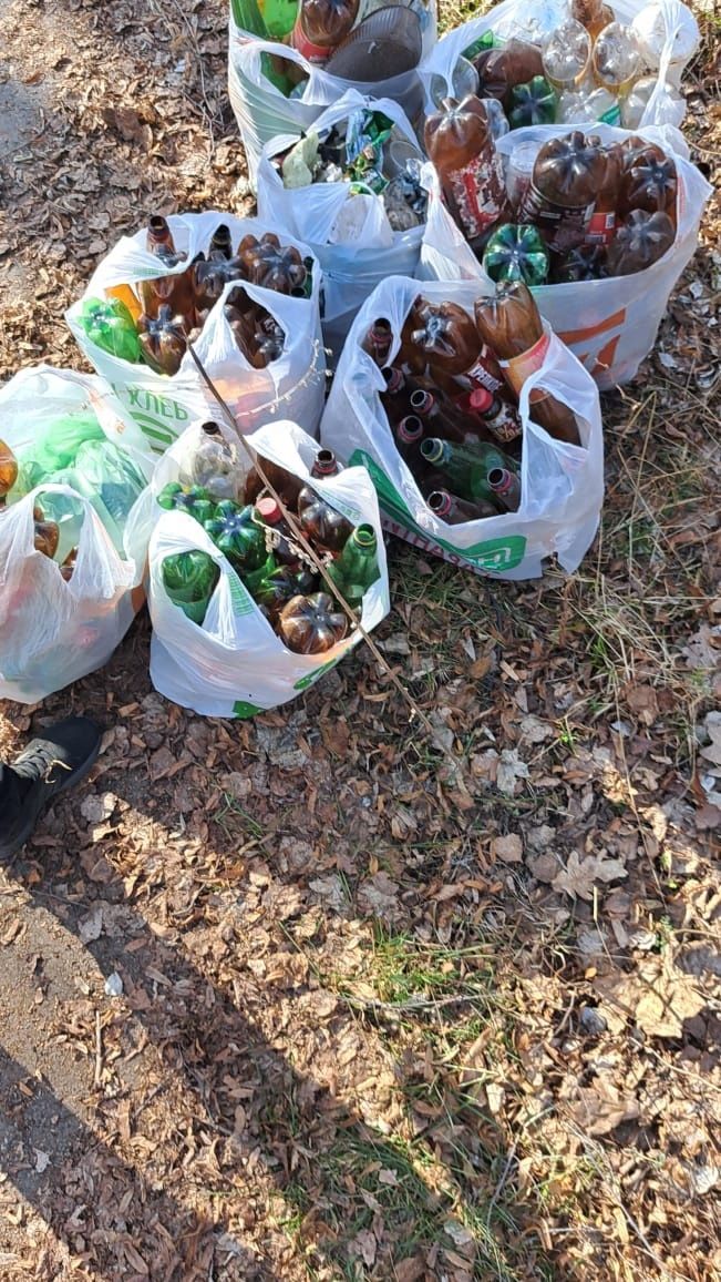 Сухостой, поросль и мусор: жители Заинска убрались на заброшенных участках