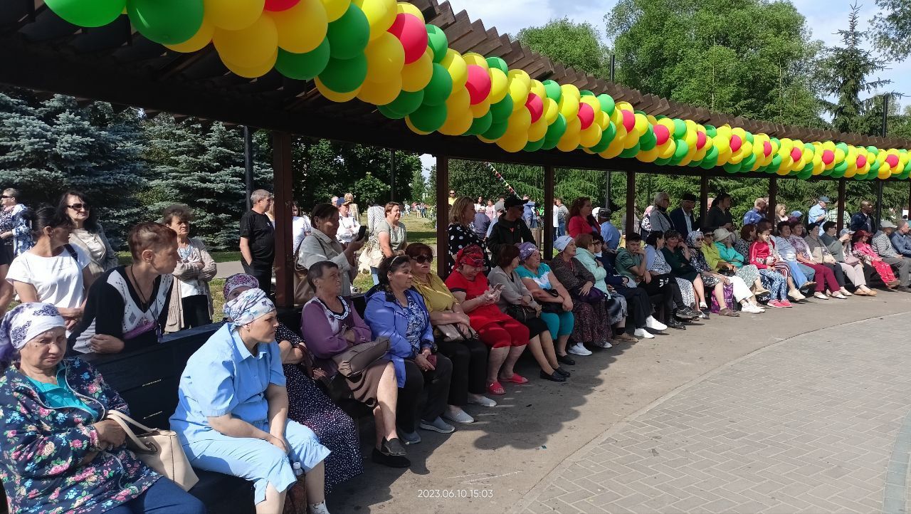 Артисты татарской эстрады выступили на Сабантуе в Заинске
