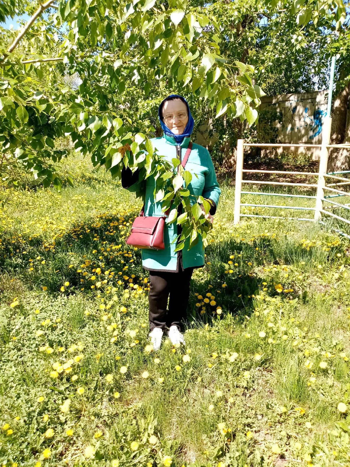 Рәмзия Ильина: «Бик сагынам алма бакчасын»