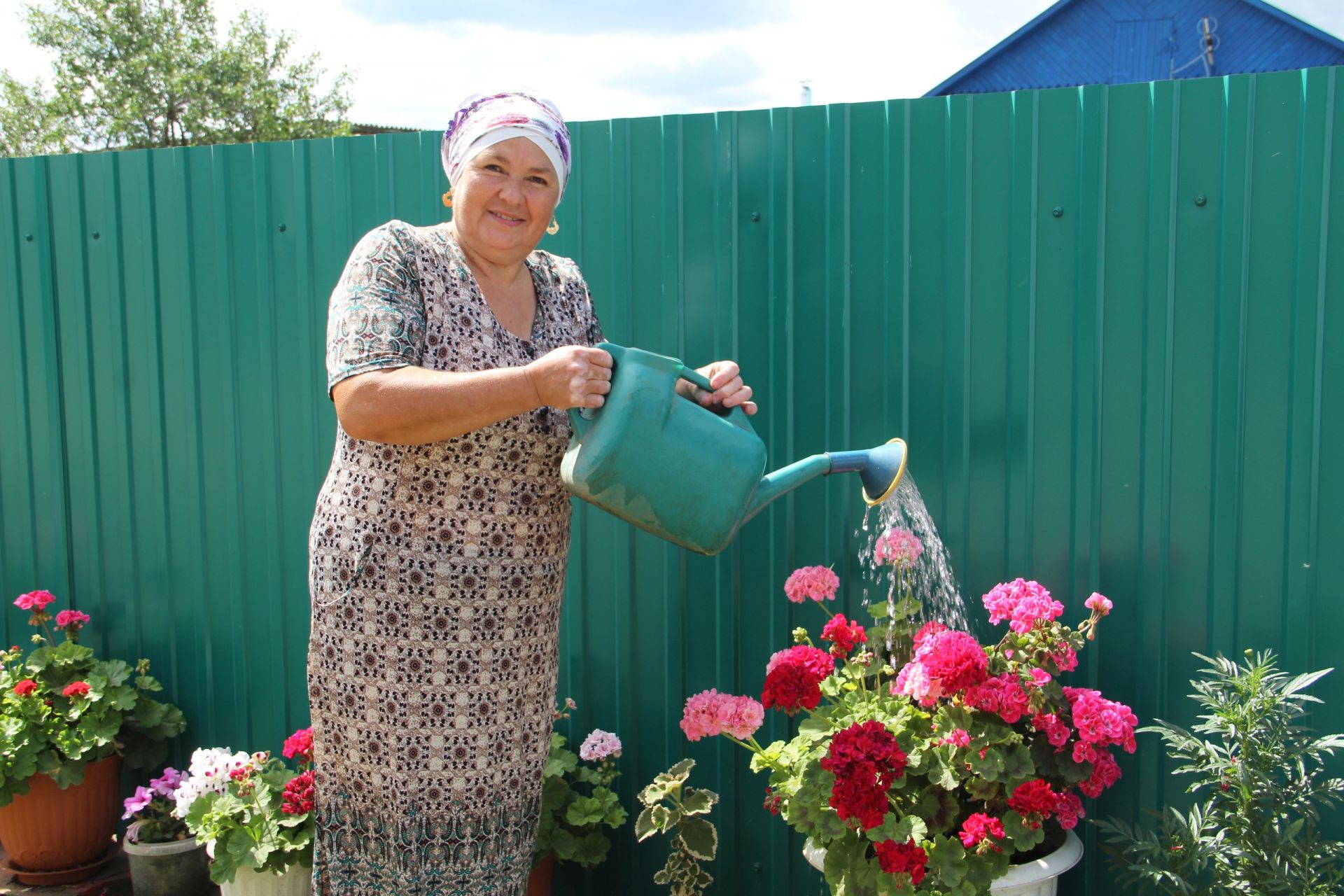 Жительница Заинского района превратила свой дом в цветочную галерею