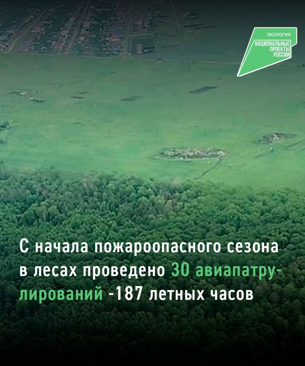 В Татарстане проводят авиапатрулирование лесов