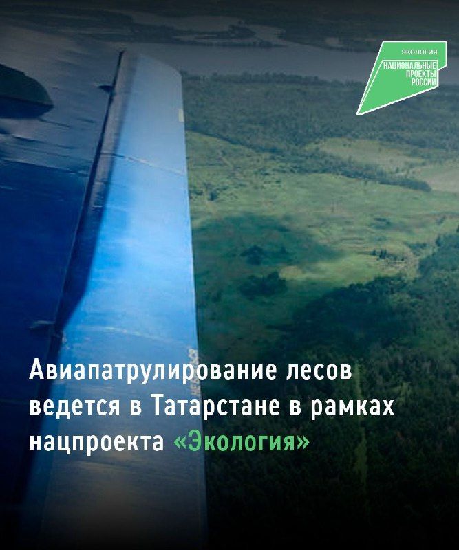 В Татарстане проводят авиапатрулирование лесов