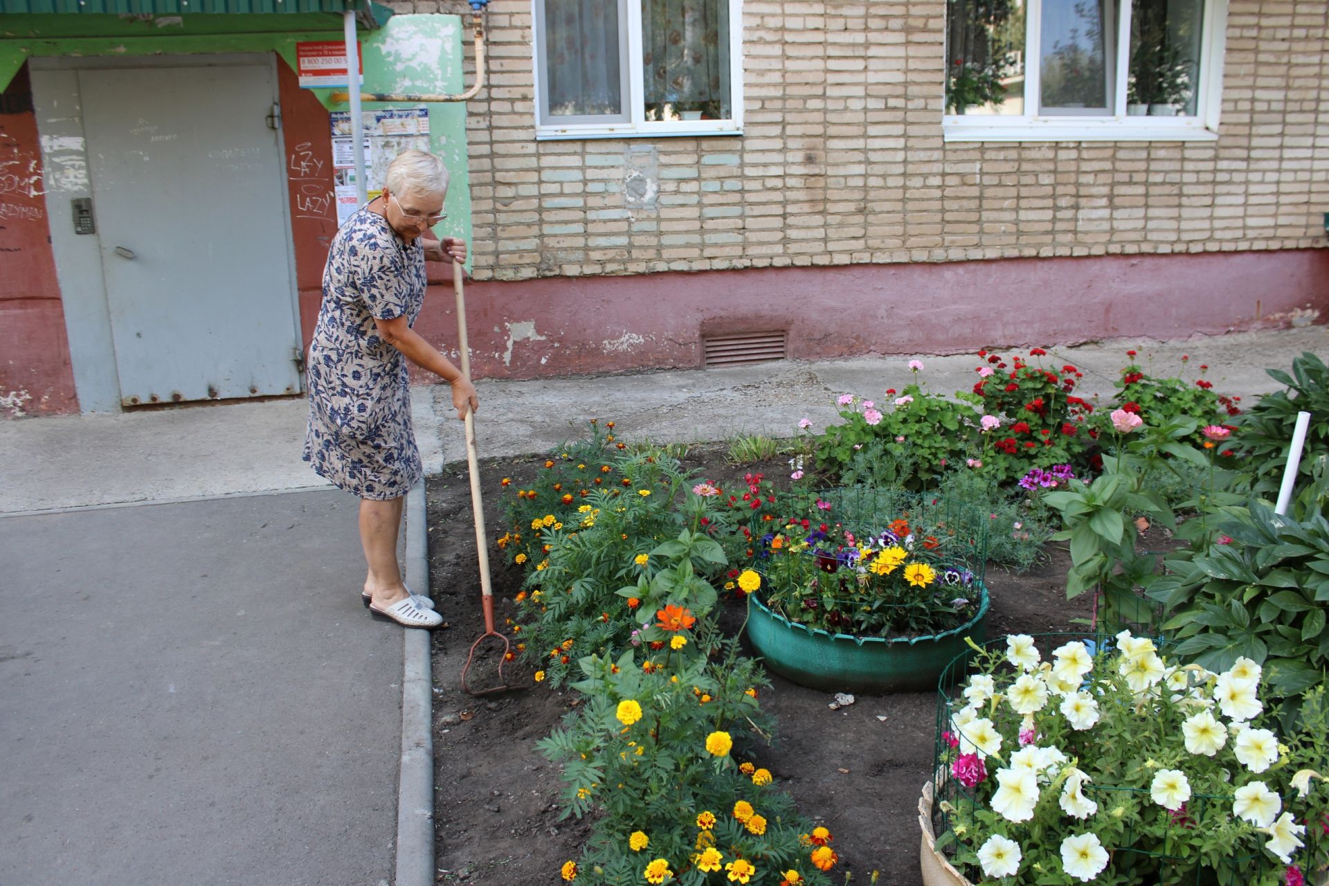 Самый загадочный редкий цветок вырастила жительница Заинского района Татарстана