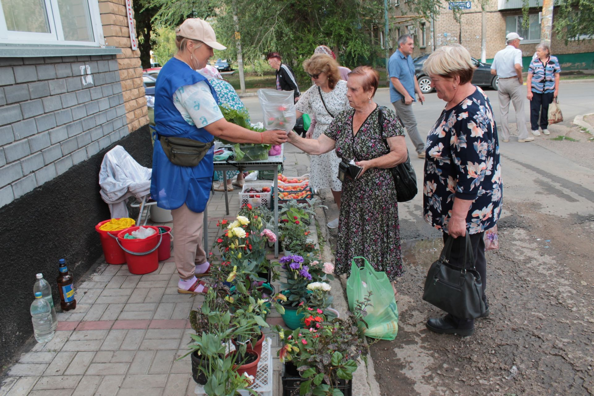 В Заинском районе Татарстана пенсионеры торгуют плодами со своих участков по договорной цене