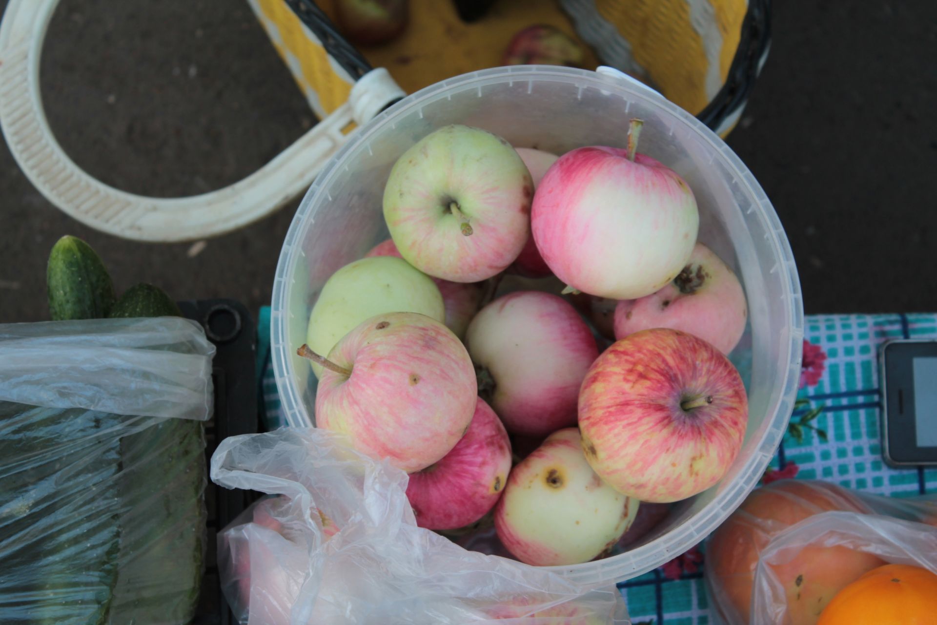 В Заинском районе Татарстана пенсионеры торгуют плодами со своих участков по договорной цене