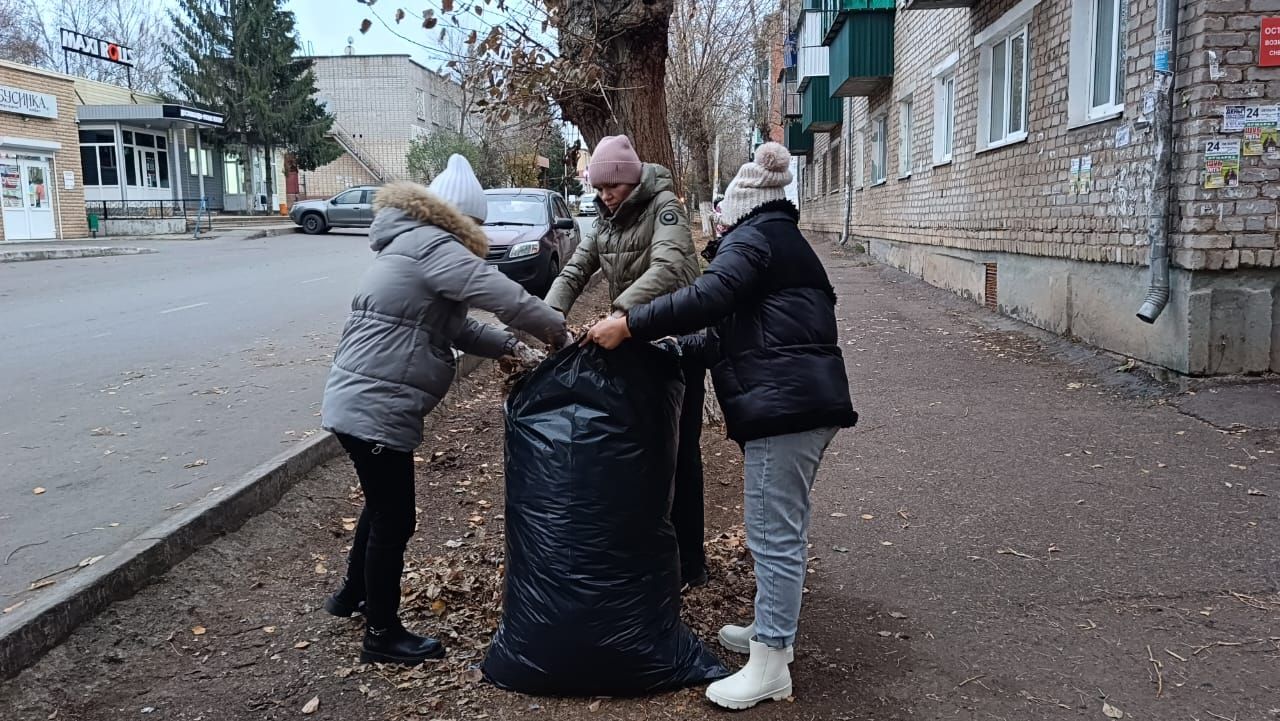 Жители Заинского района собрали много листвы и мусора