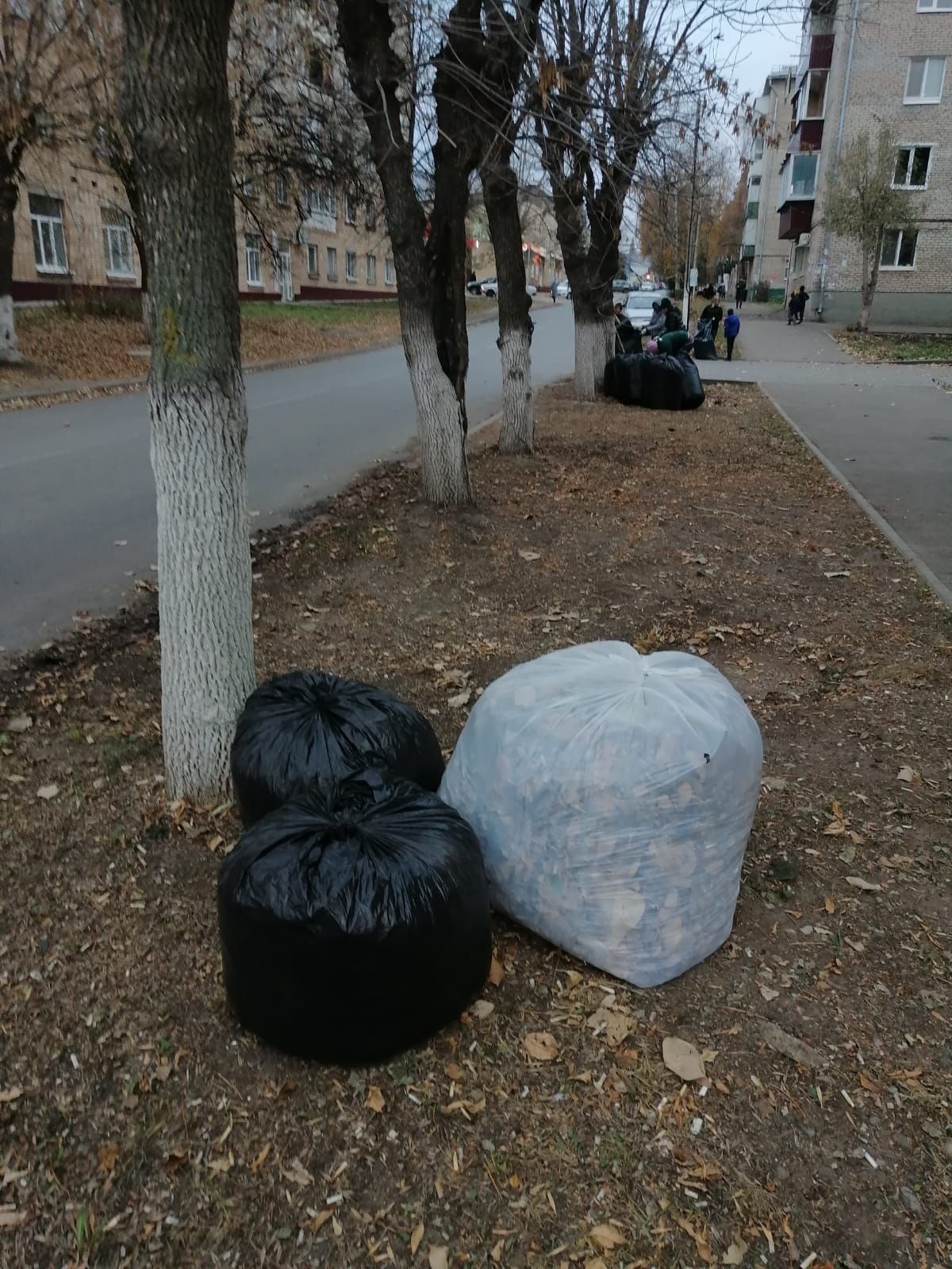 Жители Заинского района собрали много листвы и мусора