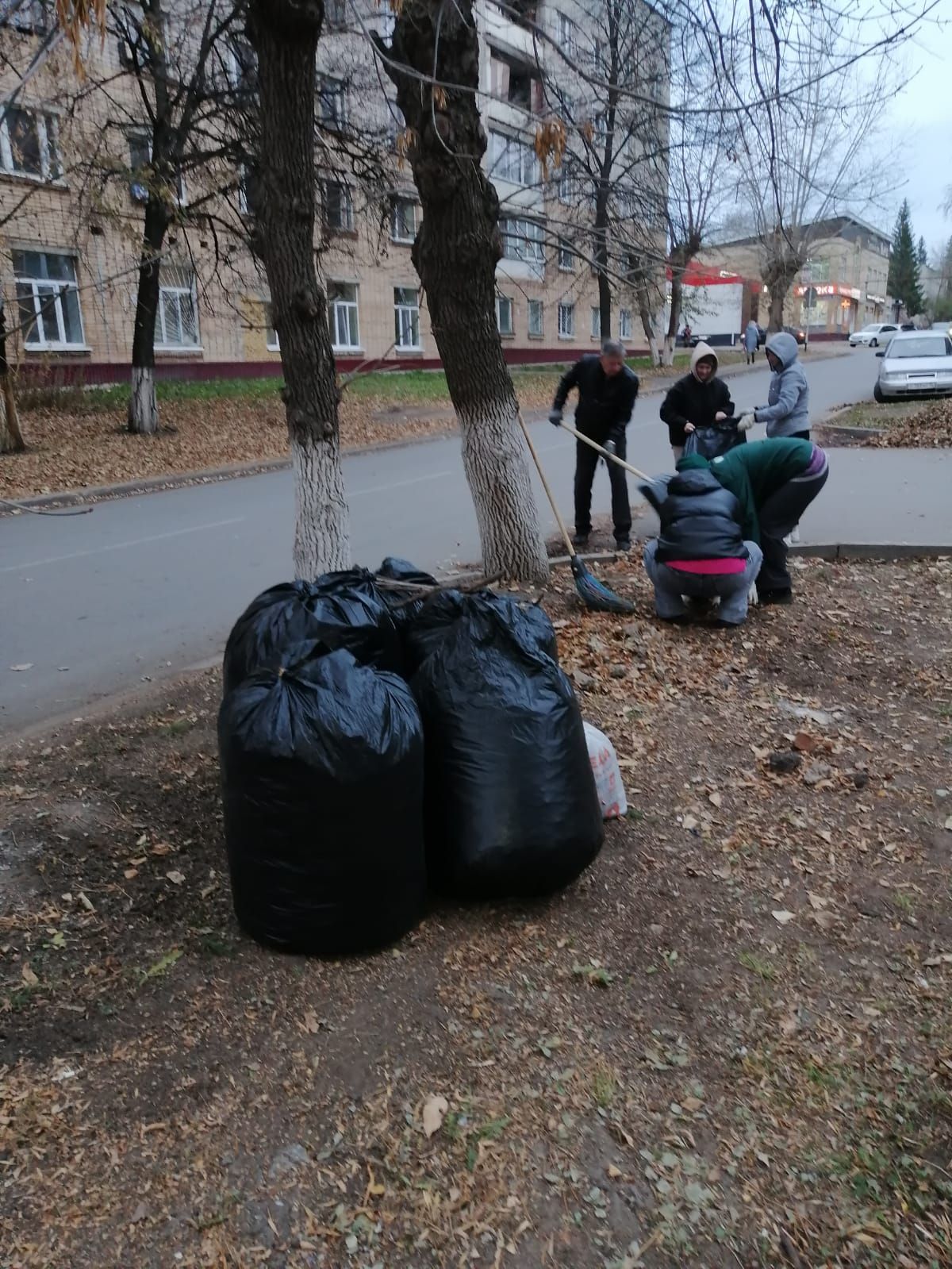 Жители Заинского района собрали много листвы и мусора