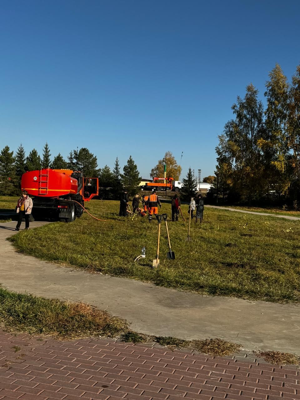 В парке Заинска посадили березы и рябины