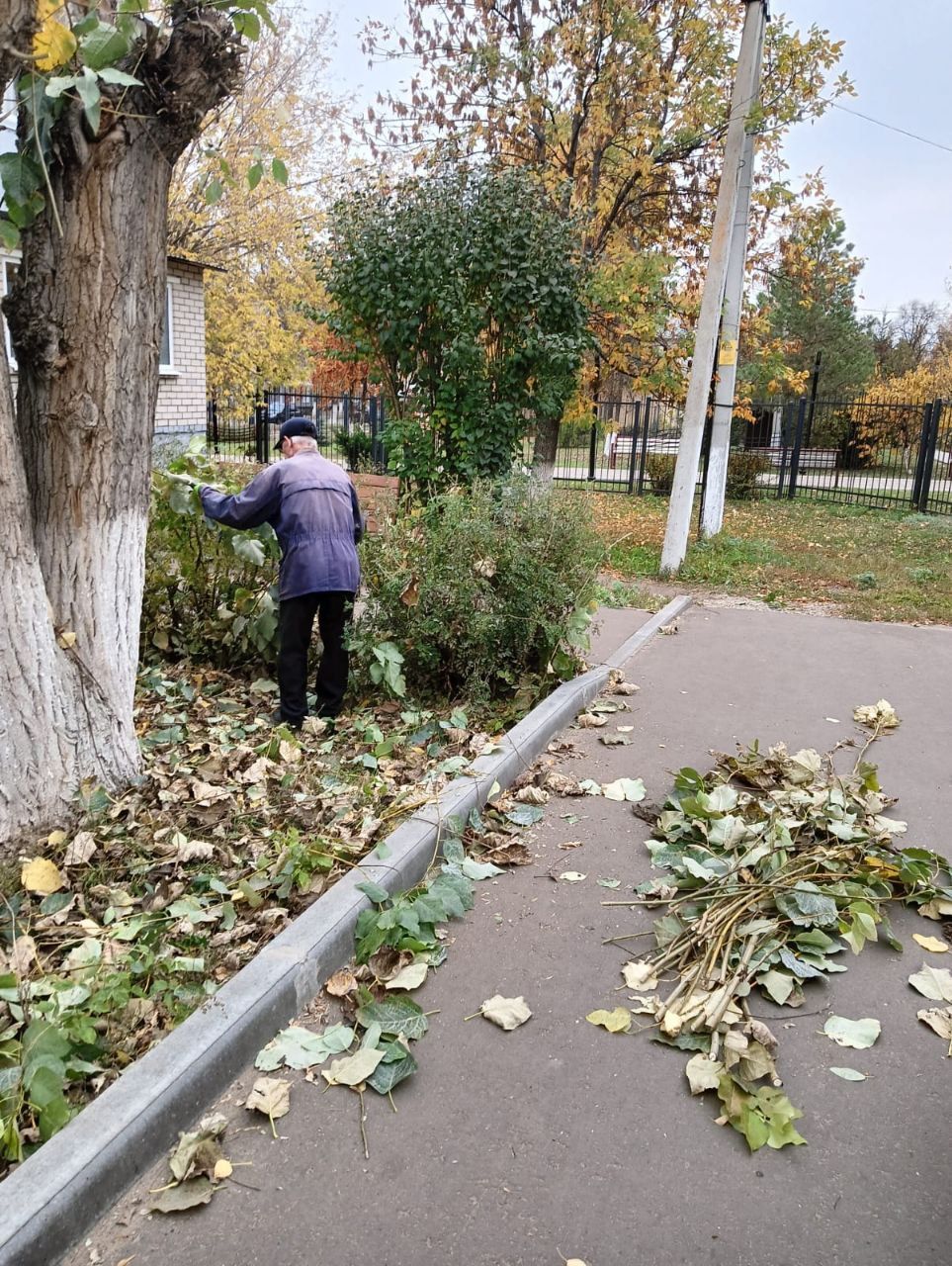 В Заинске жители дома № 9 по улице Ленина убрались на прилегающей территории