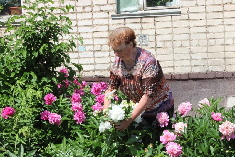 Жительницы Заинска ухаживают за цветами во дворах многоквартирных домов