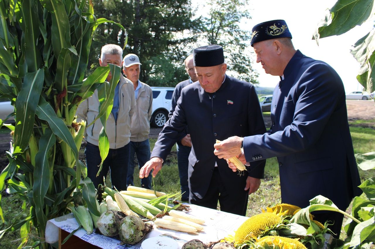 Марат Әхмәтов: « Зәй  — үсемлекчелектә республиканың әйдәүче флагманы»