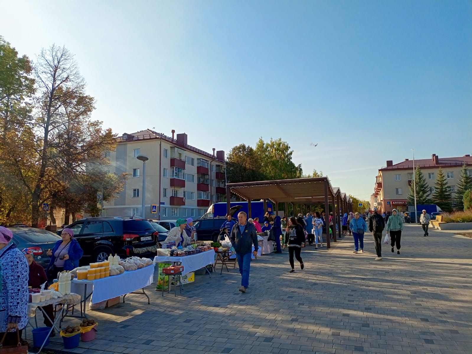 В Заинске стартовали осенние сельскохозяйственные ярмарки