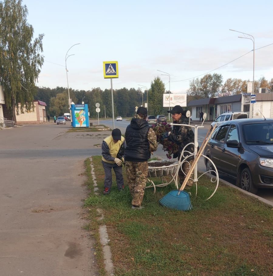 В Заинске озеленители закрыли цветочный сезон