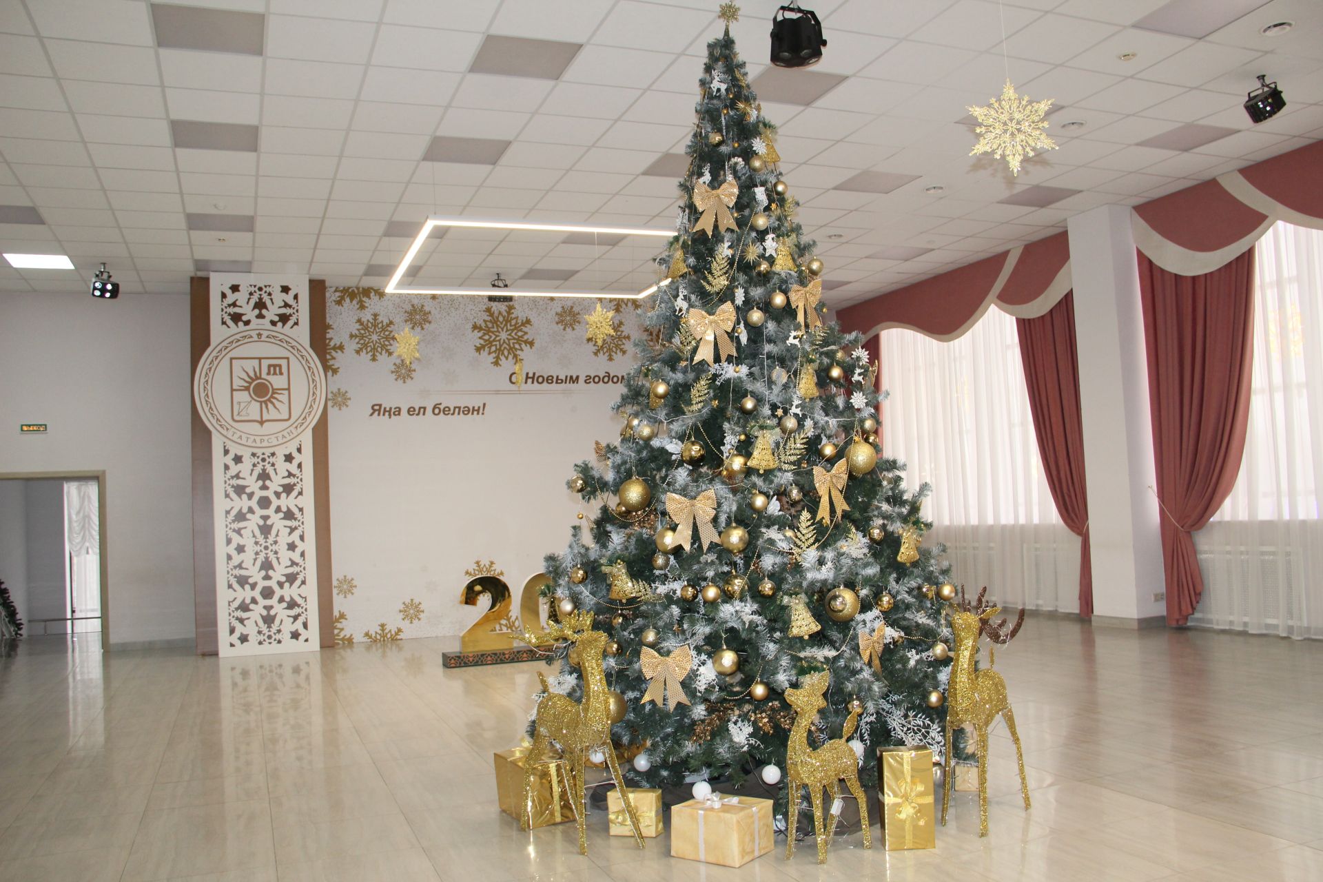 Зәйдә узган уку алдынгылары чыршы бәйрәменнән фоторепортаж