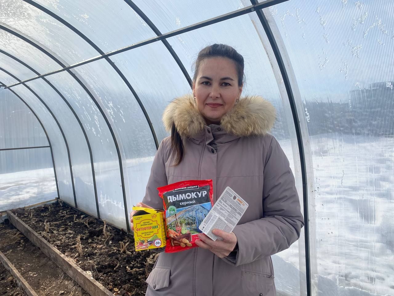 Яңа сезонга теплицаны ничек әзерләргә?