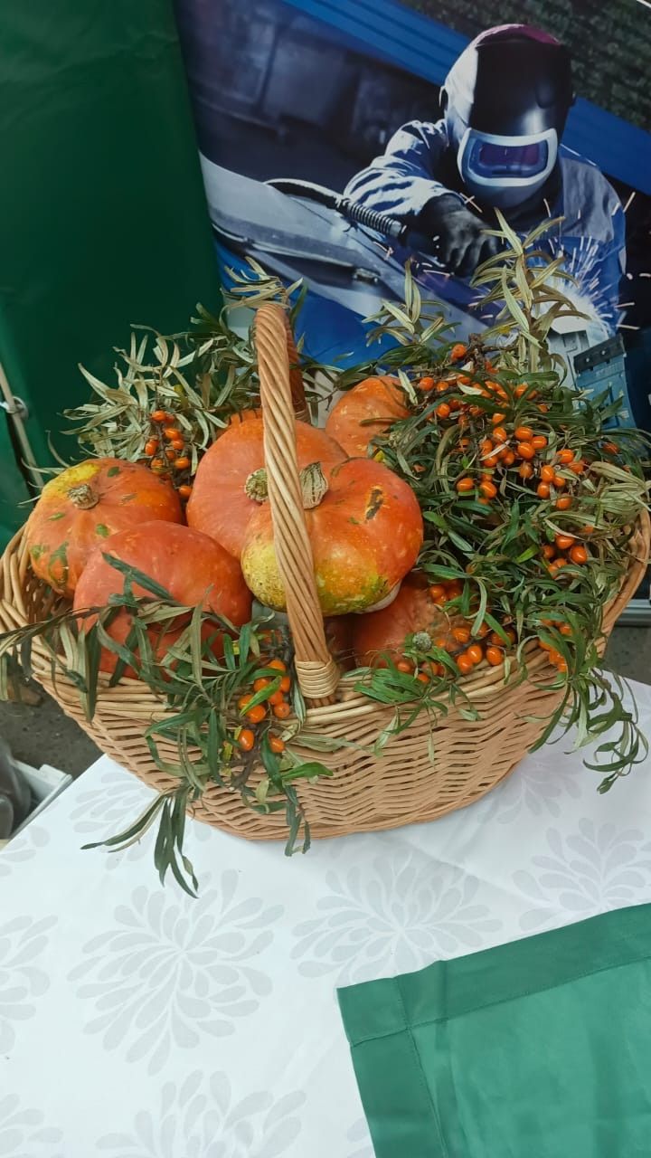 Зәйлеләр “Осталар шәһәре” ярминкә-күргәзмәсендә катнашты