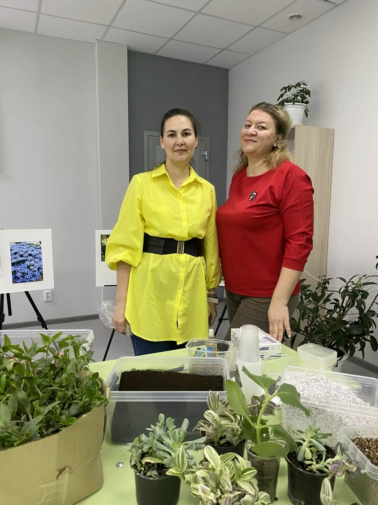 Белгечләр киңәше: Чәчәкләрне нинди туфракка утыртырга һәм петунияләрне ничек үрчетергә?