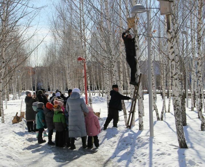 Зәйлеләр Халыкара кошлар көнен күп кош оялары ясап каршы алды
