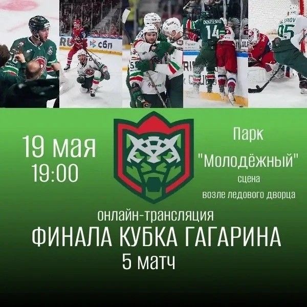 Зәйдә хоккей драйвы