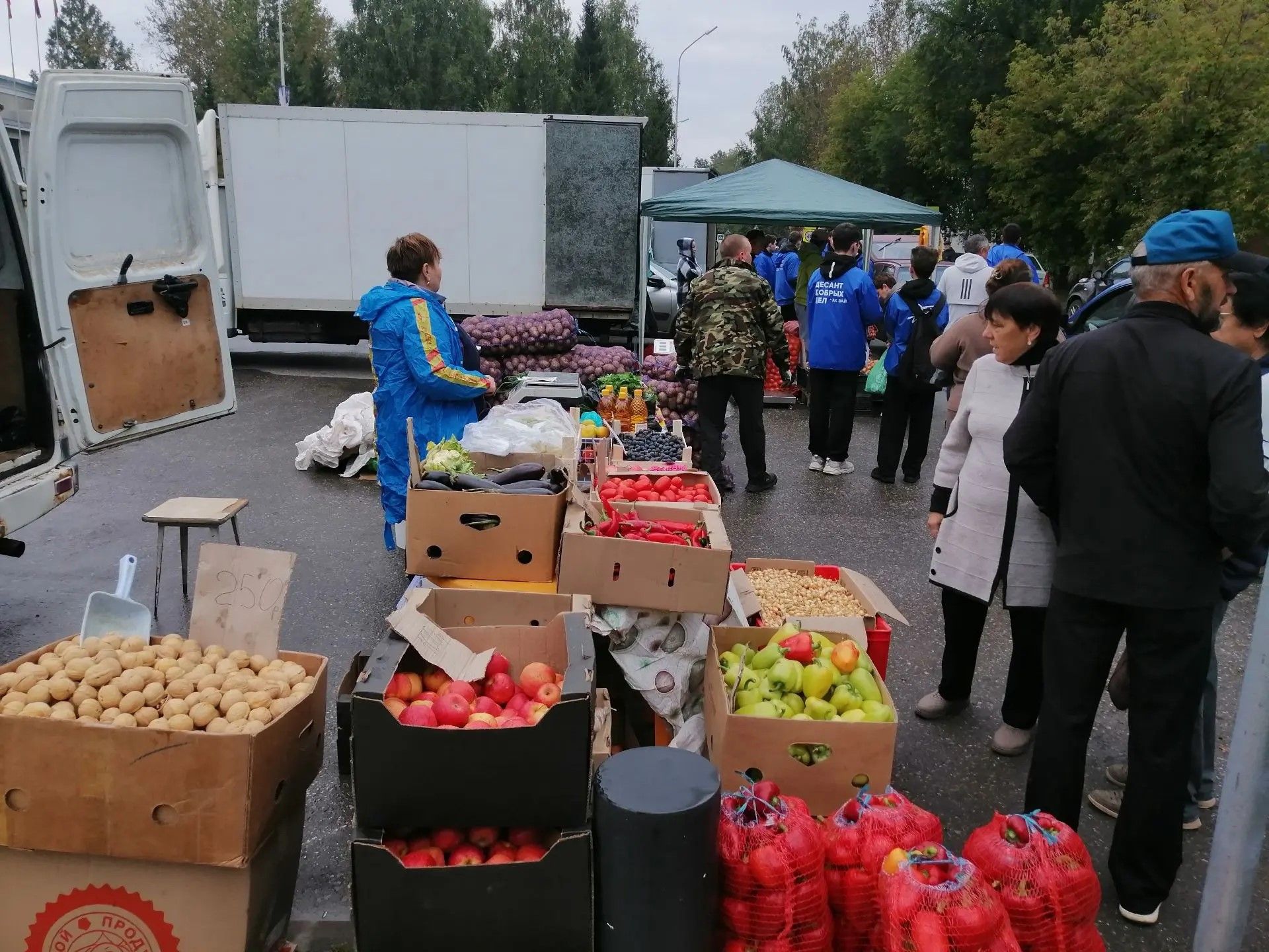 Заинский район возобновил еженедельные сельхозярмарки
