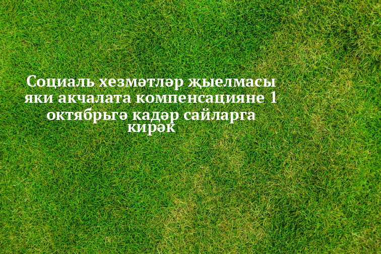 Социаль хезмәтләр җыелмасын  натураль рәвештә алуга гариза бирергә өлгер