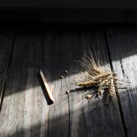 Златоустьев огонь: народные приметы, традиции и запреты на 9 февраля