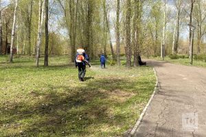 35 Татарстан кешесе талпан кадалып, табибларга мөрәҗәгать иткән