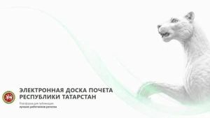 Электронную доску почета Татарстана посмотрели более 1,8 млн раз за неделю