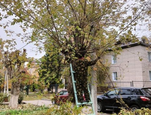 В Заинске жители дома № 9 по улице Ленина убрались на прилегающей территории