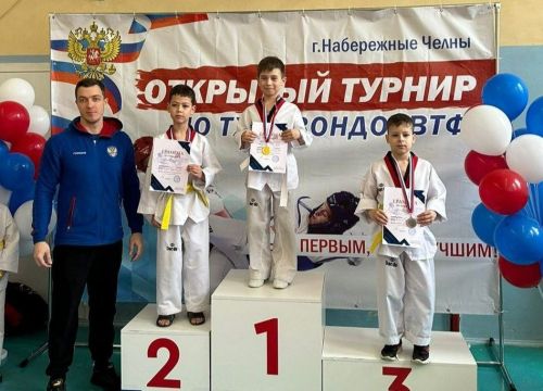 Спортсмены из Заинска завоевали восемь медалей на соревнованиях по тхэквондо