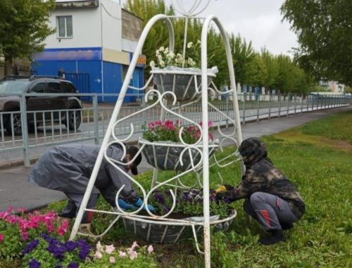 К Сабантую улицы Заинска украсят цветы