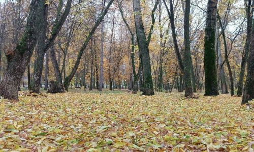 Народные приметы на 22 сентября: что нельзя делать в день Акима и Анны