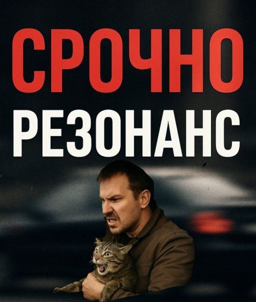 В Заинске мужчина подозревается в зверском убийстве кошки. Возбуждено уголовное дело