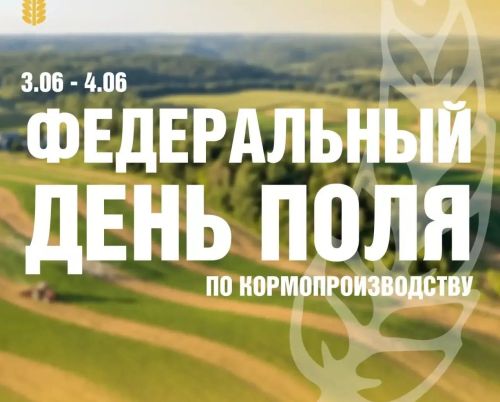 В Мензелинском районе пройдет Федеральный День поля по кормопроизводству