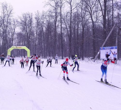 Спортивные секции в Заинске