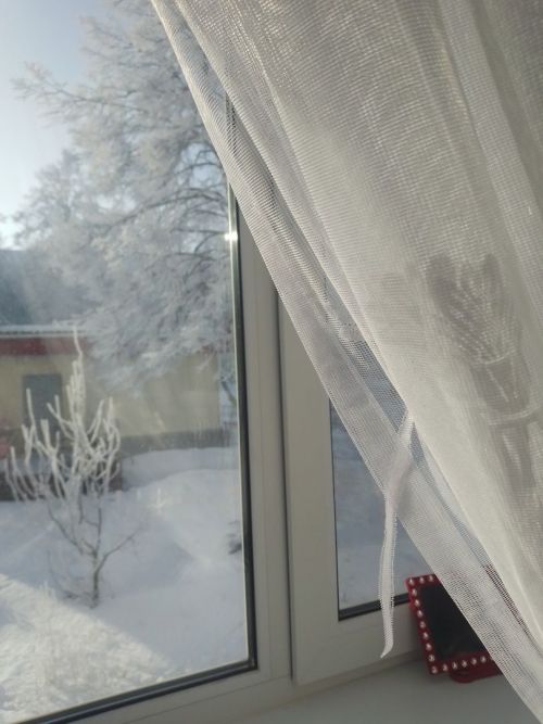 Зәебезнең җирле шагыйрәсе  Клавдия Максимова: “Аклыкны яратам”