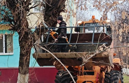 В Заинске продолжается санитарная уборка усохших деревьев