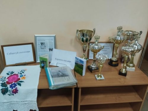 В селе Сармашбаш Заинского района открылась выставка, посвященная сельским борцам