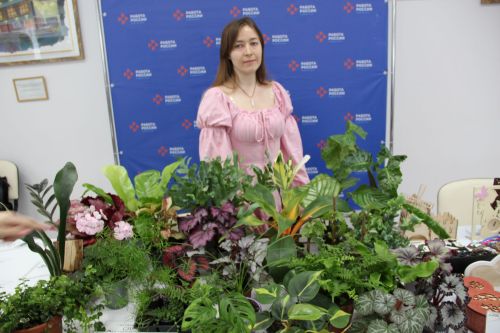 Самозанятым предоставят места на Казанской новогодней ярмарке