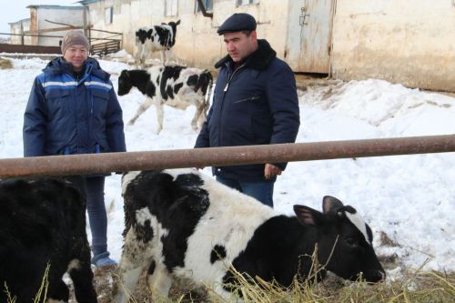 Терлекләр телен аңлаучы гаилә