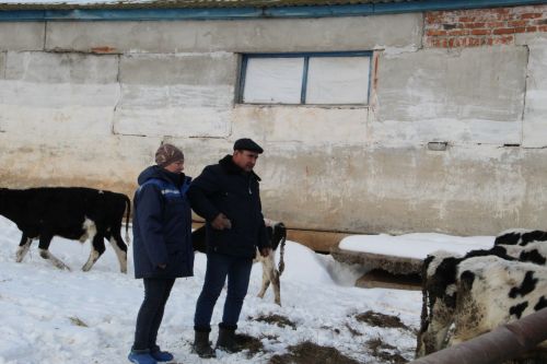 Терлекләр телен аңлаучы гаилә