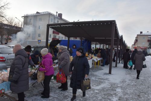 В Заинске прошла расширенная сельскохозяйственная ярмарка