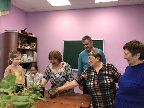 Заинцы узнали, как вырастить урожай на подоконнике